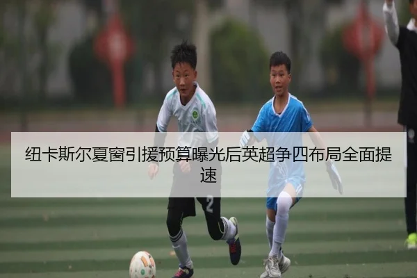 纽卡斯尔夏窗引援预算曝光后英超争四布局全面提速