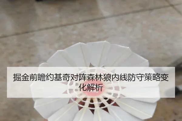 掘金前瞻约基奇对阵森林狼内线防守策略变化解析