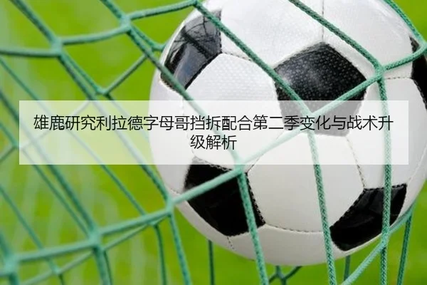 雄鹿研究利拉德字母哥挡拆配合第二季变化与战术升级解析